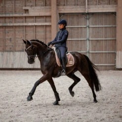 B Vertigo Thermo Leder Reithandschuhe -Reitmode Meiste 31584 BL 7