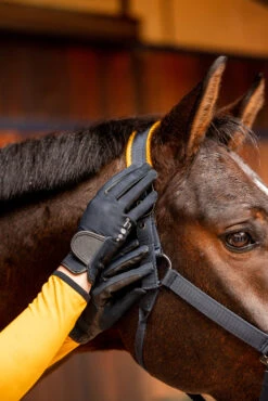 Horze Isa Damen Sommerreithandschuhe -Reitmode Meiste 31741 590 06