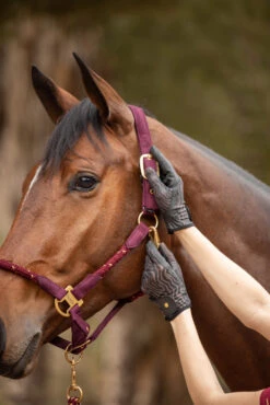 Horze Elenor Damen Mesh Reithandschuhe 29 Horze Elenor Damen Mesh Reithandschuhe -Reitmode Meiste 31748 753 07