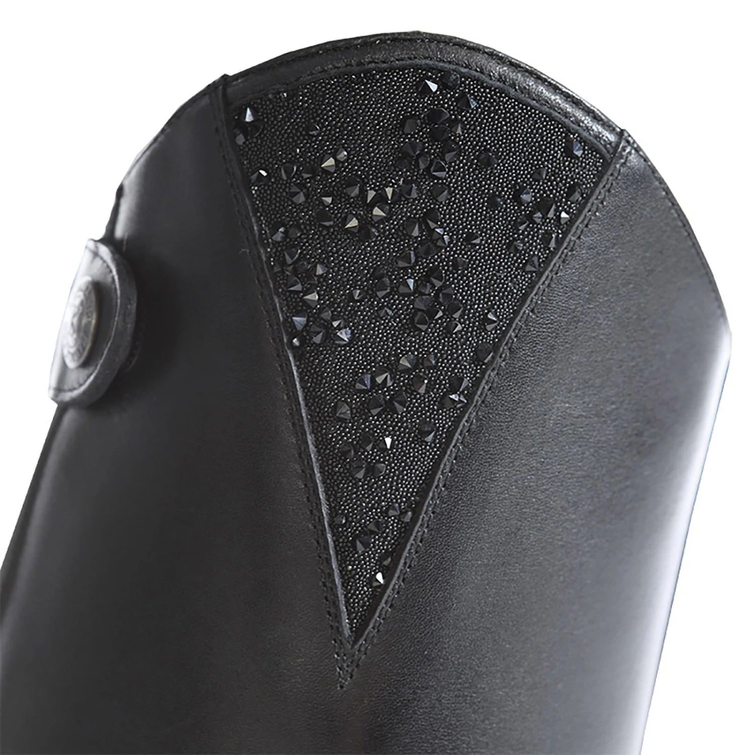 Kavalkade Wadenchaps Alessia 4 Kavalkade Wadenchaps Alessia – Bild 2