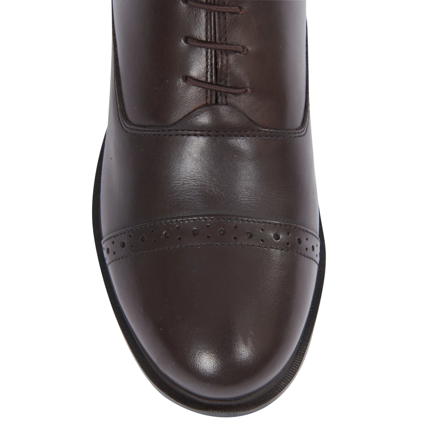 Dublin Evolution Paddock Stiefel Mit Schnürung Vorne 10 Dublin Evolution Paddock Stiefel Mit Schnürung Vorne – Bild 8