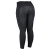 Dublin Performance Thermo Active Reitleggings Für Damen 2 Dublin Performance Thermo Active Reitleggings Für Damen -Reitmode Meiste 327615 BL 1