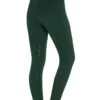Schockemöhle Sporty Damen Winterreitleggings Mit Silikonvollbesatz 1 Schockemöhle Sporty Damen Winterreitleggings Mit Silikonvollbesatz -Reitmode Meiste 341445 BDGR 1