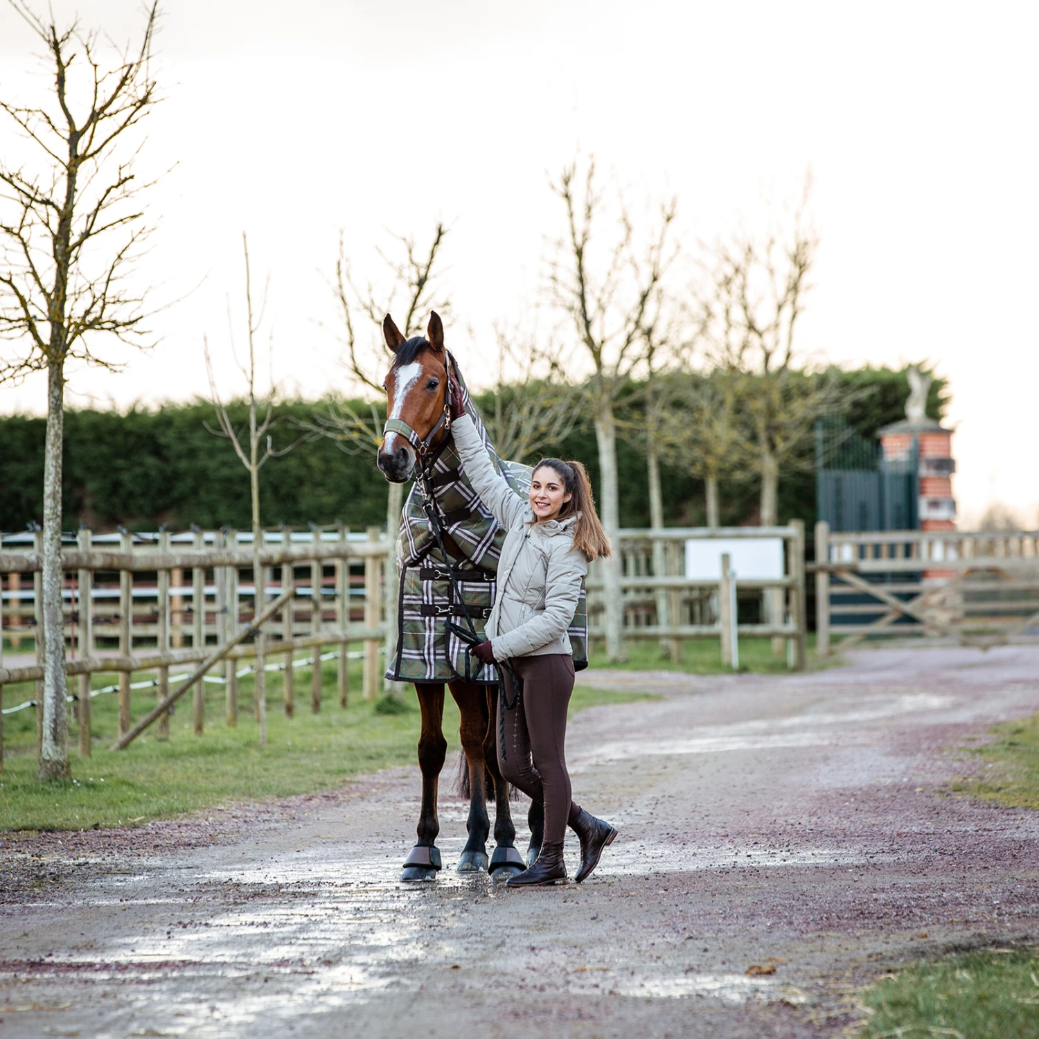 Horze Desiree Reithose Mit Vollbesatz Für Damen Mit Silikon Grip Und Gürtelschlaufen 9 Horze Desiree Reithose Mit Vollbesatz Für Damen Mit Silikon Grip Und Gürtelschlaufen – Bild 7
