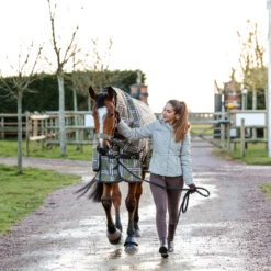 Horze Desiree Reithose Mit Vollbesatz Für Damen Mit Silikon Grip Und Gürtelschlaufen 29 Horze Desiree Reithose Mit Vollbesatz Für Damen Mit Silikon Grip Und Gürtelschlaufen -Reitmode Meiste 36055 BRBR 8