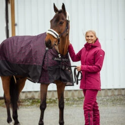 B Vertigo Dana Winterreithose Für Damen -Reitmode Meiste 36058 BTRE 6