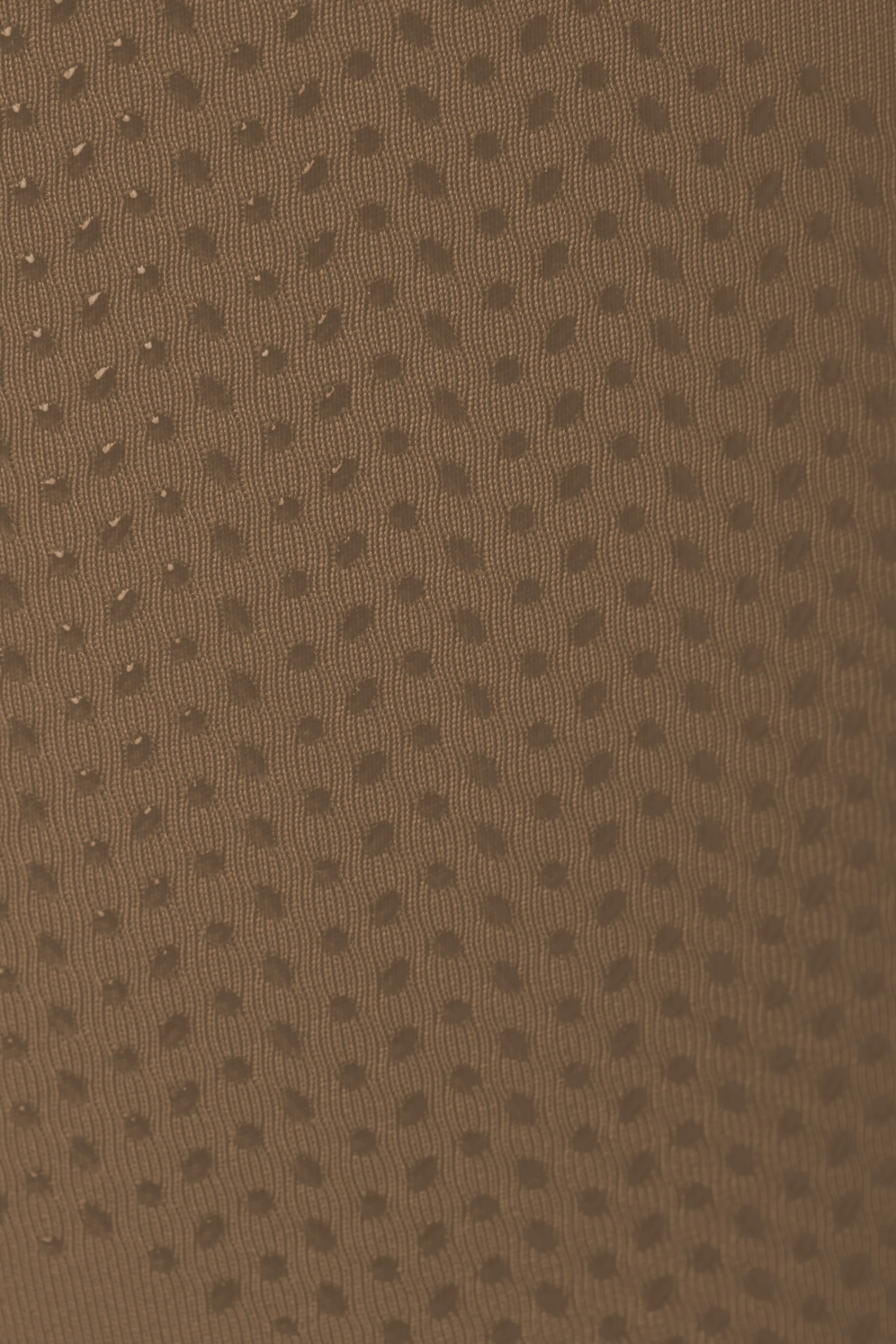 B Vertigo Adelaide Damen Reitleggings Mit Hohem Bund 8 B Vertigo Adelaide Damen Reitleggings Mit Hohem Bund – Bild 6