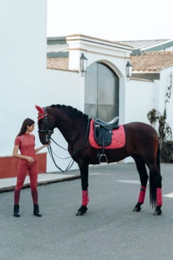 B Vertigo Adara Damen Vollbesatzreitleggings Mit Hohem Bund Und Handytaschen 30 B Vertigo Adara Damen Vollbesatzreitleggings Mit Hohem Bund Und Handytaschen -Reitmode Meiste 36692 MNRE 9