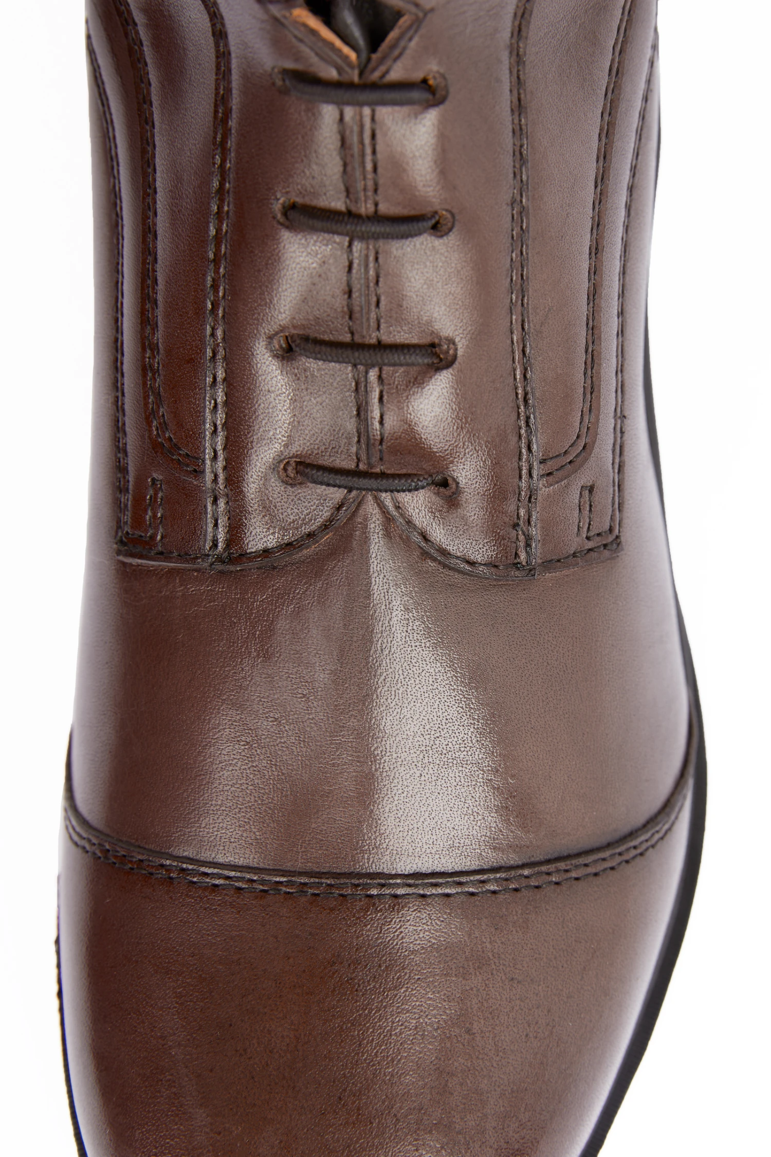 B Vertigo Vega Damen Reitstiefel 15 B Vertigo Vega Damen Reitstiefel – Bild 13