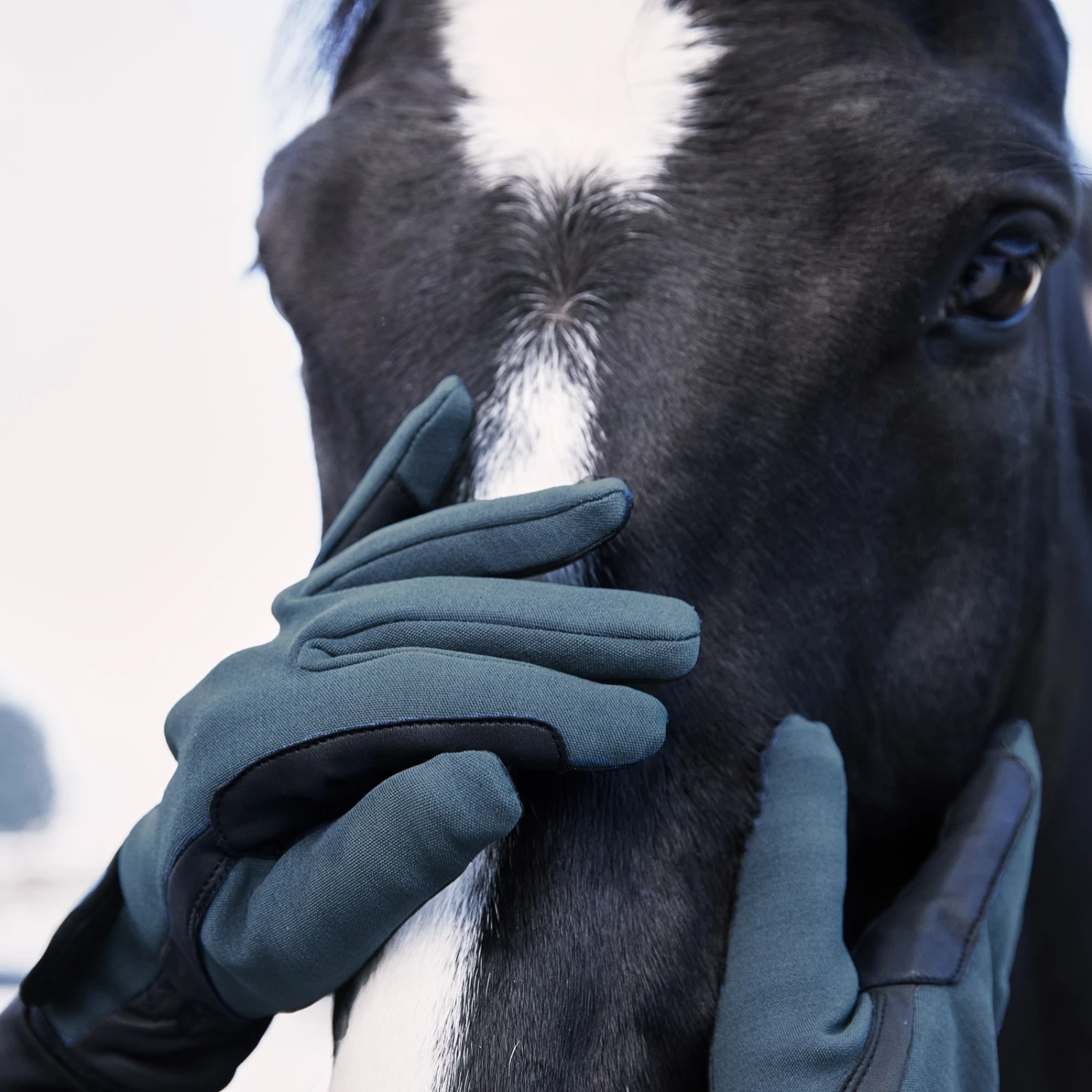 Horze Sporty Winter Reithandschuhe 20 Horze Sporty Winter Reithandschuhe – Bild 18