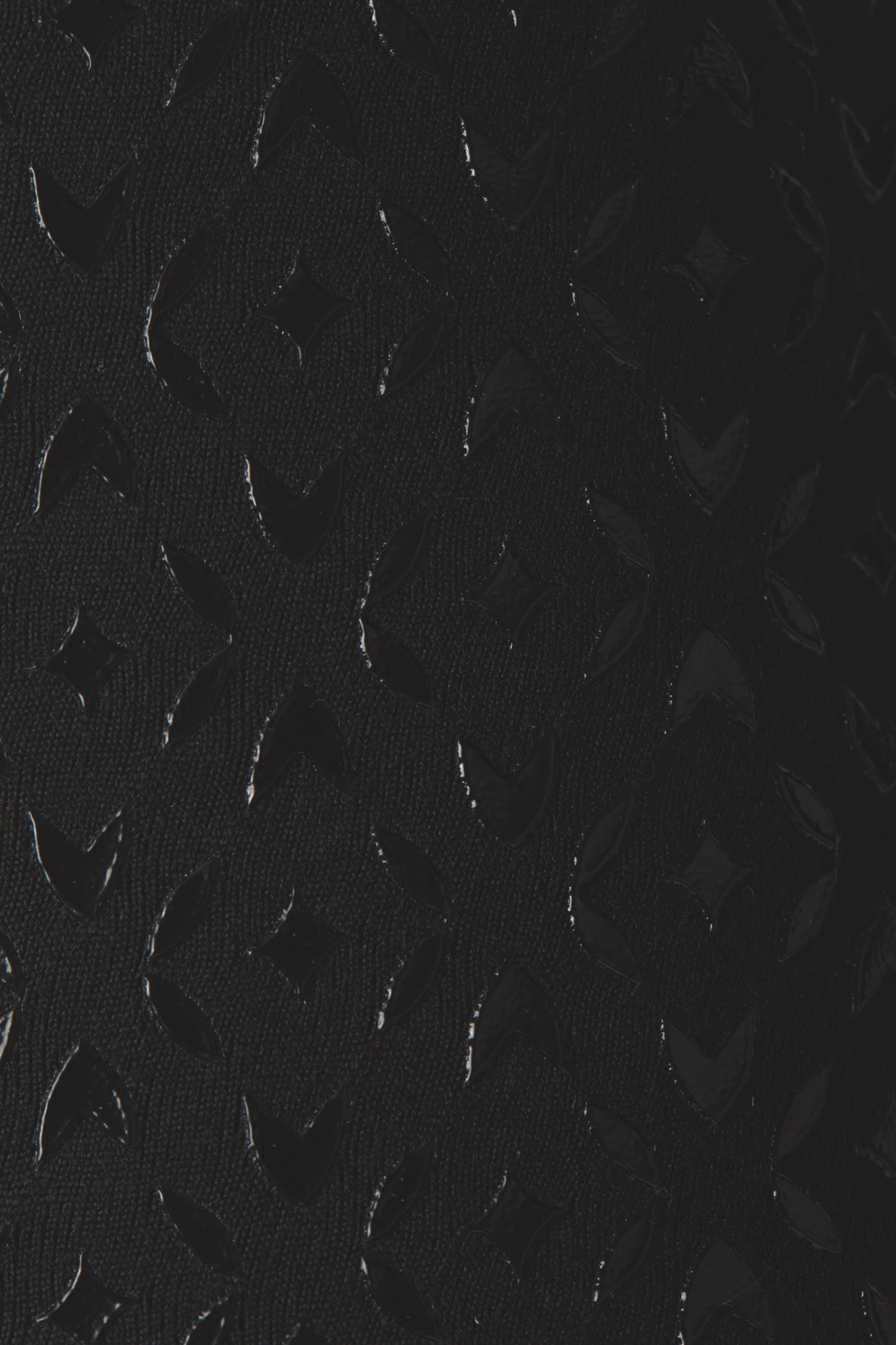 Damen Reitleggings Mit Vollbesatz Und Glitzerbund 8 Damen Reitleggings Mit Vollbesatz Und Glitzerbund – Bild 6